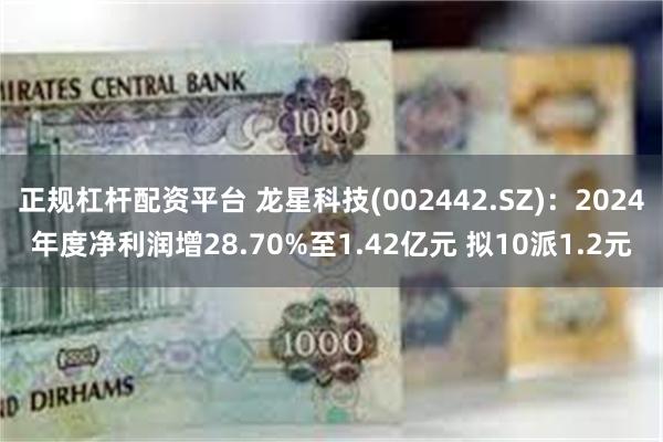正规杠杆配资平台 龙星科技(002442.SZ)：2024年度净利润增28.70%至1.42亿元 拟10派1.2元