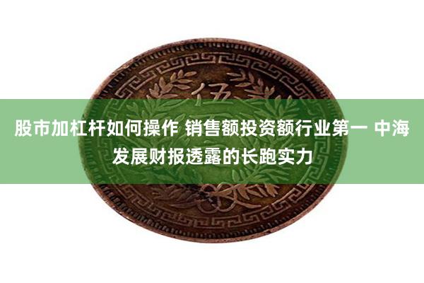 股市加杠杆如何操作 销售额投资额行业第一 中海发展财报透露的长跑实力