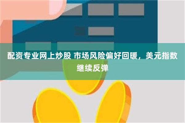 配资专业网上炒股 市场风险偏好回暖，美元指数继续反弹