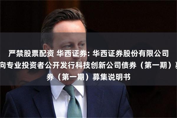严禁股票配资 华西证券: 华西证券股份有限公司2025年面向专业投资者公开发行科技创新公司债券(第一期)募集说明书