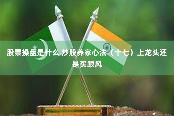 股票操盘是什么 炒股养家心法（十七）上龙头还是买跟风