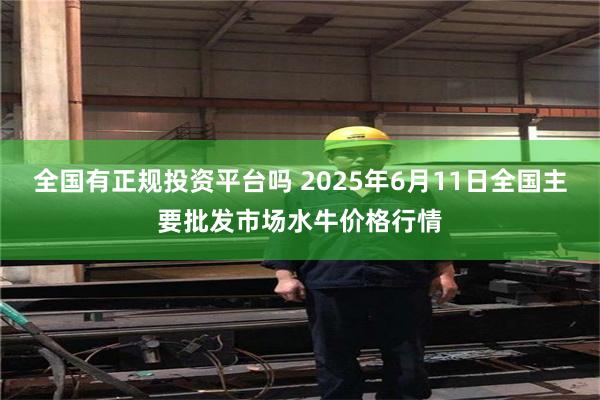 全国有正规投资平台吗 2025年6月11日全国主要批发市场水牛价格行情