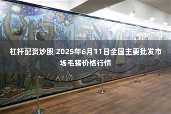 杠杆配资炒股 2025年6月11日全国主要批发市场毛猪价格行情