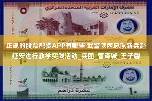 正规的股票配资APP有哪些 武警陕西总队新兵赴延安进行教学实践活动_兵团_曹泽铖_王子馨