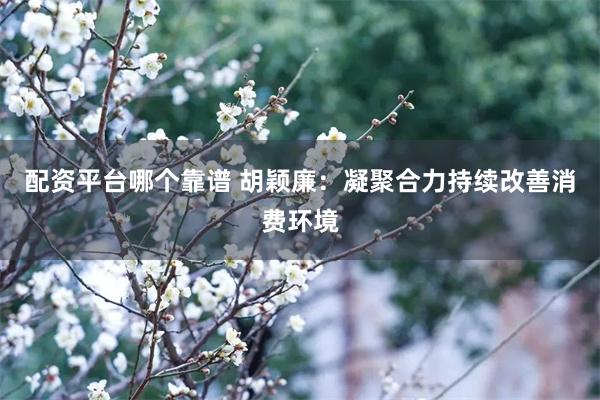 配资平台哪个靠谱 胡颖廉：凝聚合力持续改善消费环境